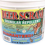 Deer Scram